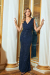 Sandrine Navy Sequin Wrap Neck Maxi Dress